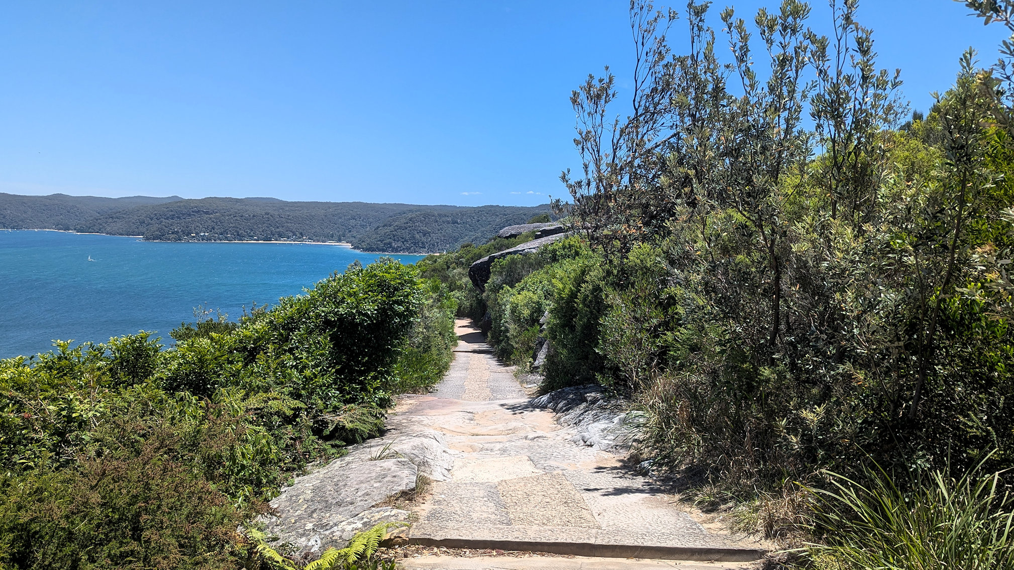 barrenjoey track (10)